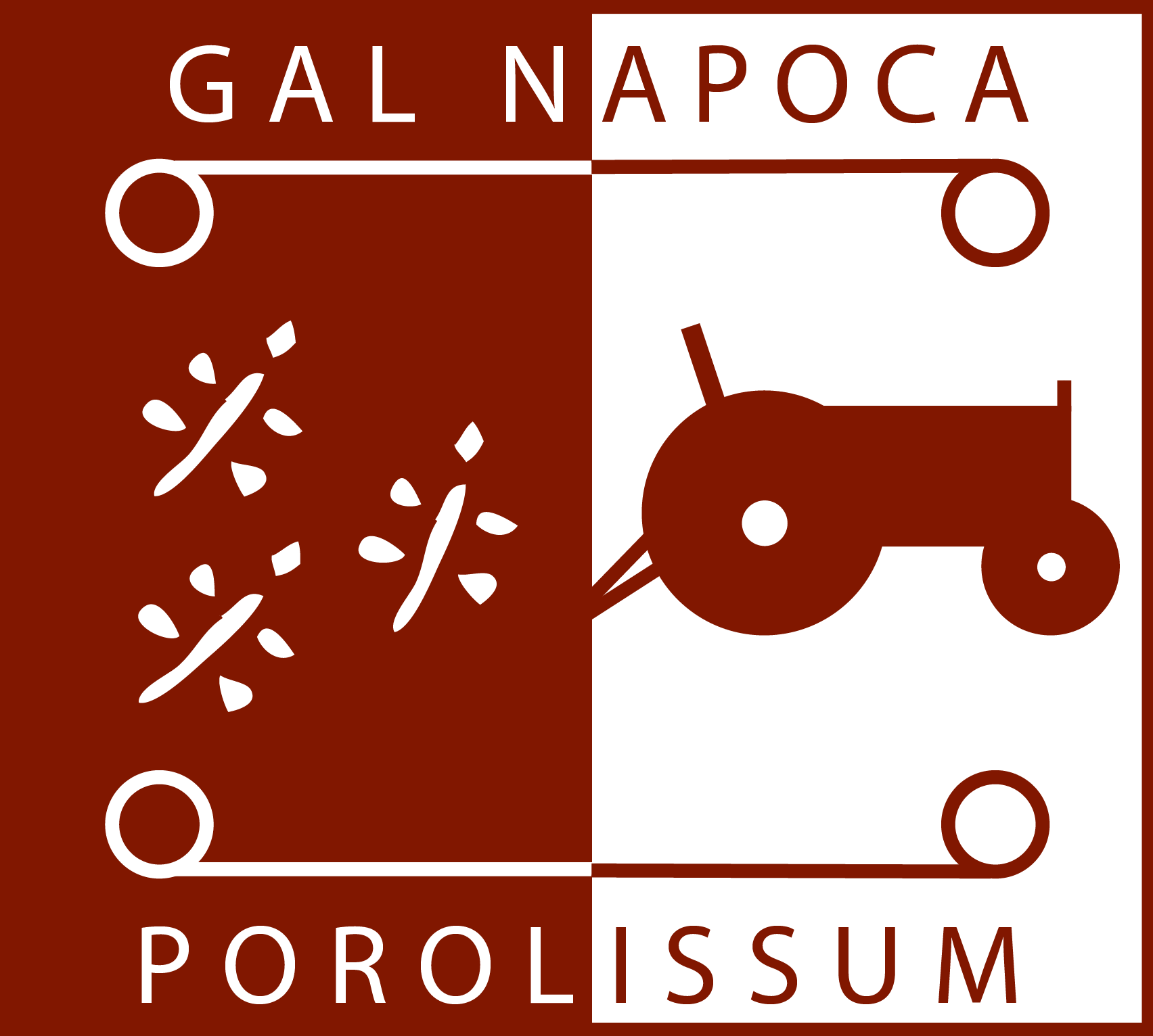 Napoca GAL client-image