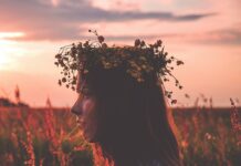 The MFR of Orléanais, new Ambassador School of the European Parliament